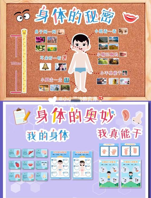 不同的部位分別可以看到哪些事？