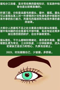眉毛一根長的預兆