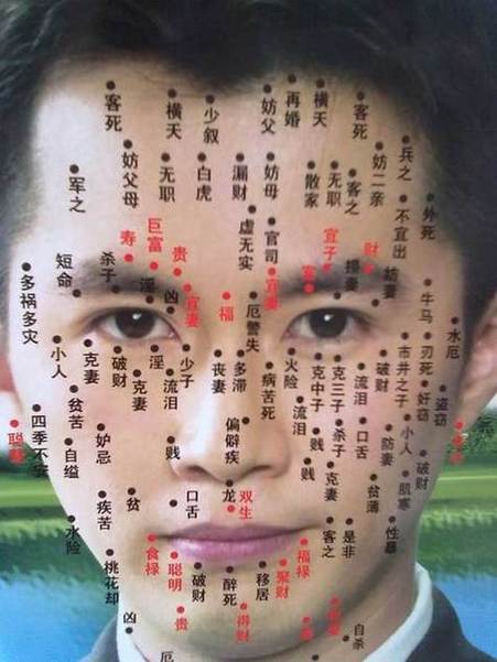 眉毛中間有痣的男人 博學多才雙商在線