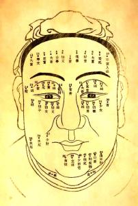 有懸針紋的男人子孫后代有望嗎