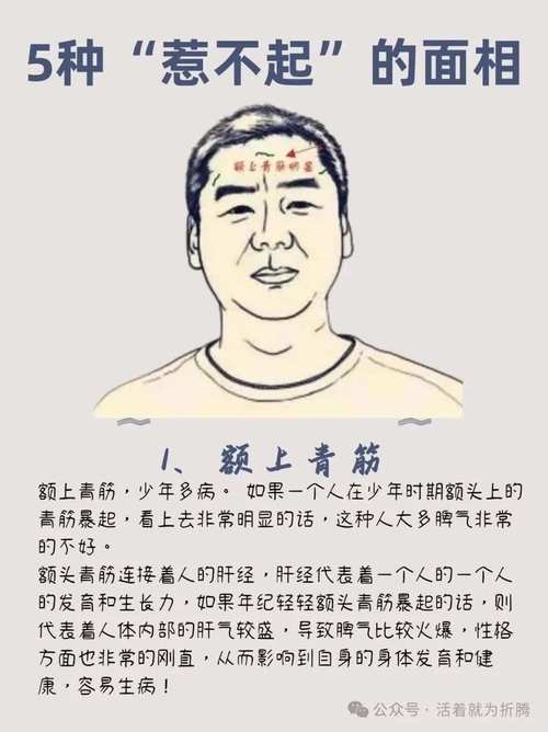既精明又狡猾的人面相分析