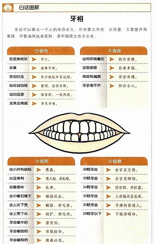 如何通過牙齒讀懂性格