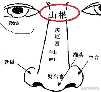 山根的準確位置，面相山根代表什么