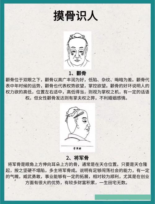 骨相圖解：銳角長壽骨