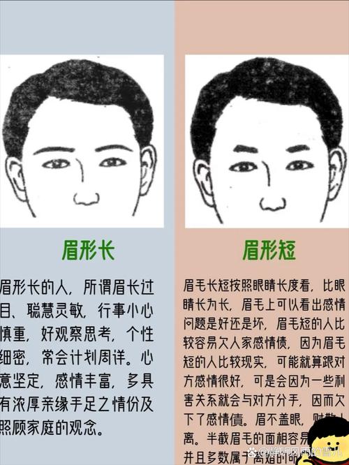 從眉毛看男人性格 男人的眉毛與命運的關系
