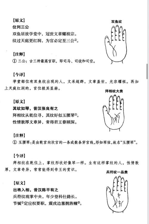 手相算命：從流紋和渦紋看人的性格和命運
