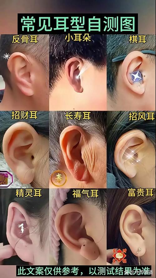 耳朵看你是否事業亨通！
