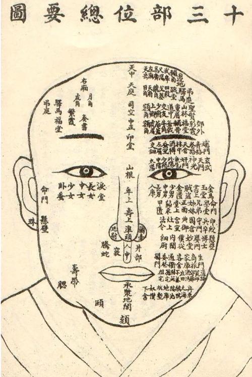 適合從商的面相 事業發展順利