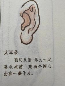 男孩耳朵大命運(yùn)怎么樣 低智商人耳朵非常小嗎
