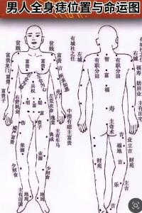 男人肚上痣相最準圖 男人上腹部有痣心胸開闊