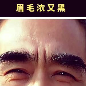 男人眉毛又粗又黑的命好不好 性格直率且責任感強