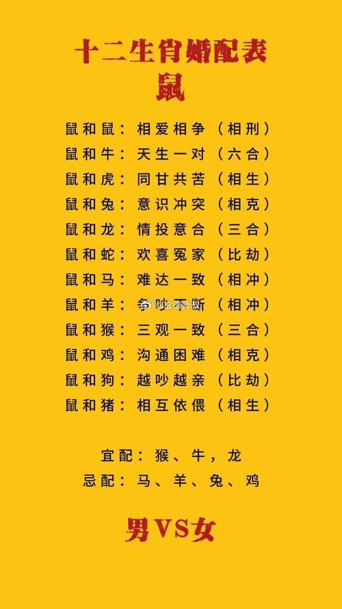 96年屬鼠女最佳婚配屬相