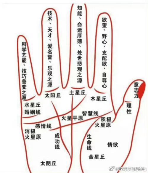 手上有這樣幾條線，注定嫁天王