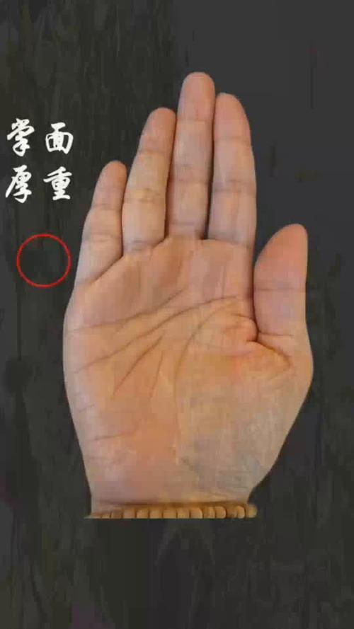 這種手相的人容易喜新厭舊