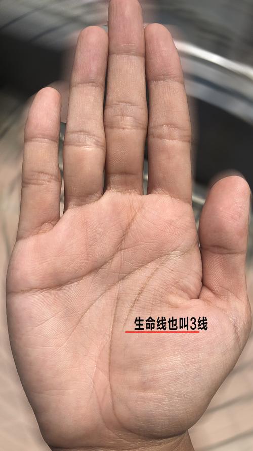 容易短命的手相
