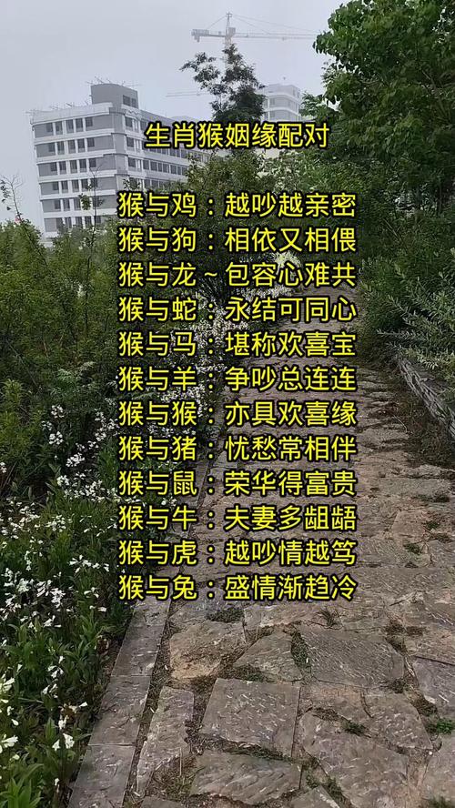 屬猴人婚姻配對表 屬猴正緣出現在哪年