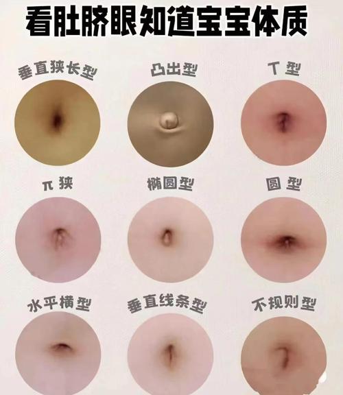 肚臍看你的富貴相