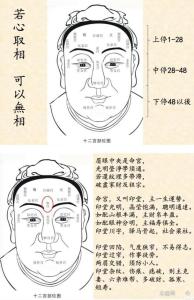 面相學：“金龜婿”的面相特點