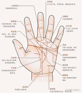 手相三條線分別代表什么