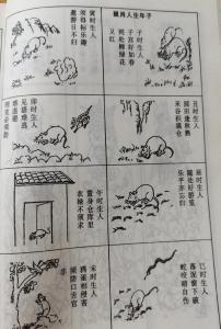 屬鼠什么時辰出生最好
