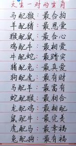 受別人寵愛的生肖 被偏愛的三大生肖