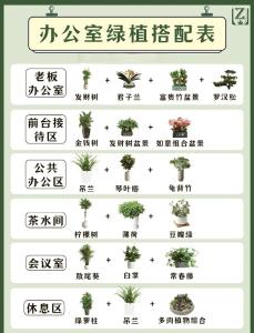 辦公室養(yǎng)殖植物的風水講究