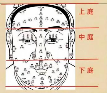 面相學，面相學 額頭