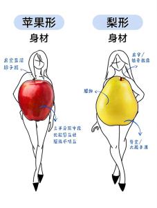 體相圖解水桶腰的命運(yùn)