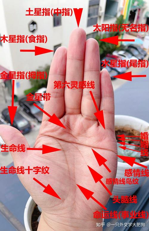 手相看命運真的可信嗎 手相準嗎
