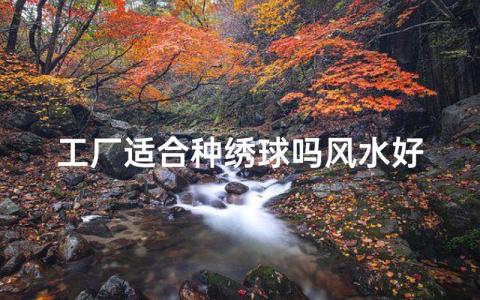 廠里面種植什么風水好