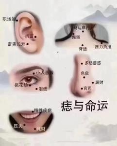 破財(cái)痣長(zhǎng)在哪里 鼻梁有痣象征運(yùn)途滯塞