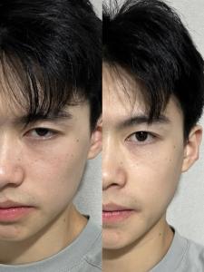 獅子眉和掃帚眉區(qū)別 剛毅果決不怕困難