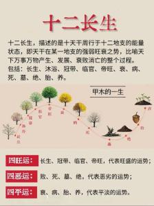 石榴木命和什么命最配 長流水命和石榴木命互為知音