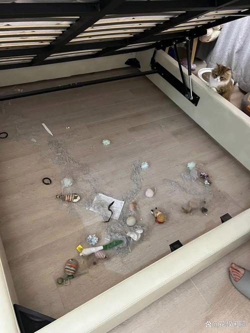 床底下最忌諱放盆 還有什么不能放的