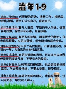 如何用生命靈數(shù)流年