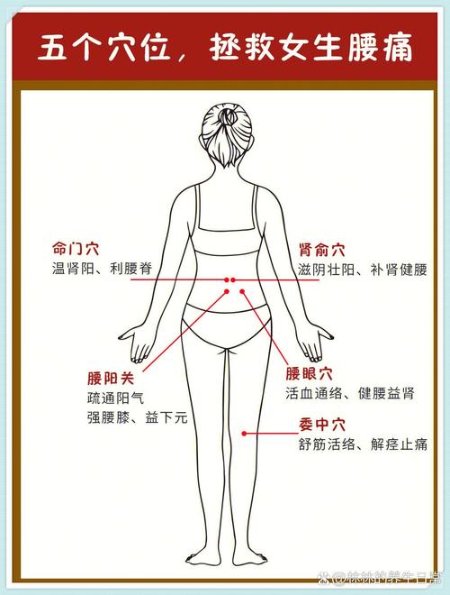 什么是命門 到底在哪里