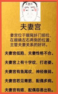 為什么男人眉毛又粗又濃克妻