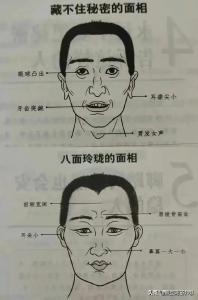 野蠻女和犯賤男面相如何