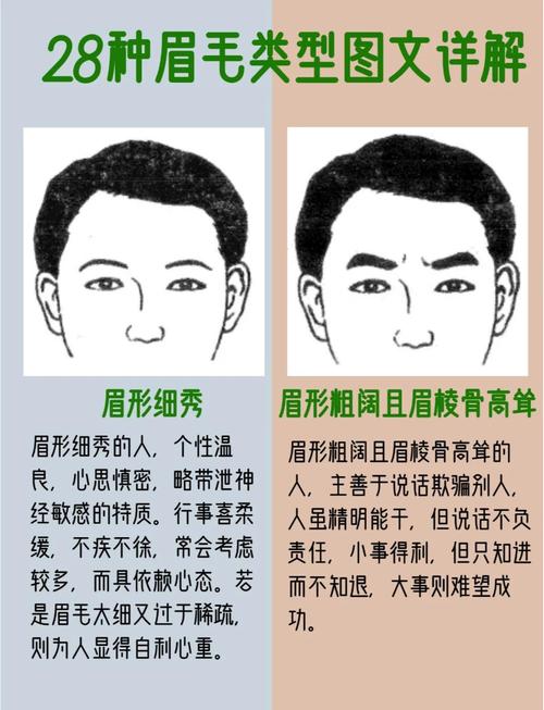 面相中眉毛濃密的男人性格
