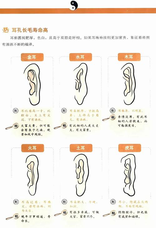聰明的耳朵面相