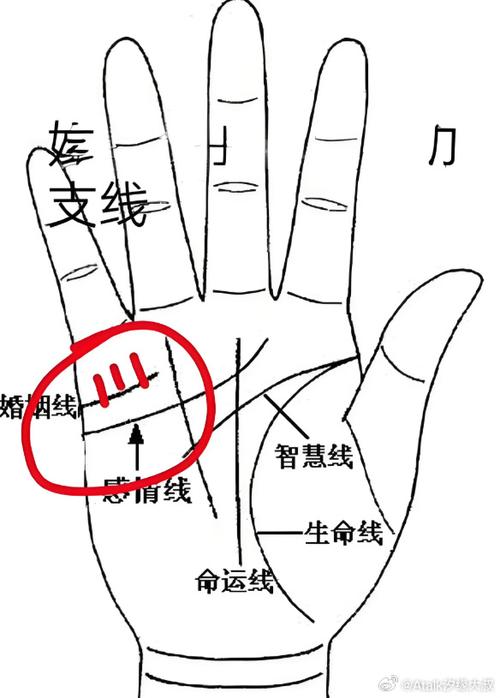 婚姻線被財(cái)運(yùn)線穿過(guò)好不好