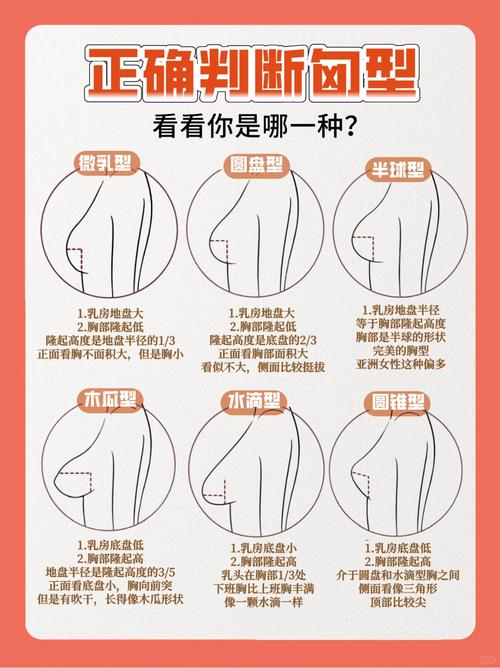 女人胸部大小決定一生命運