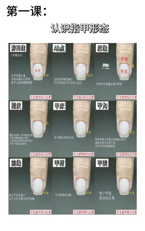指甲形狀預(yù)示你婚姻走向