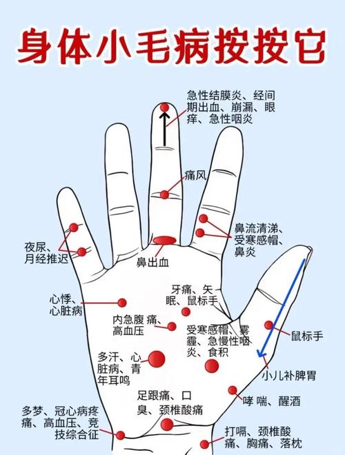 手相分析應(yīng)該關(guān)注手掌中哪些區(qū)域