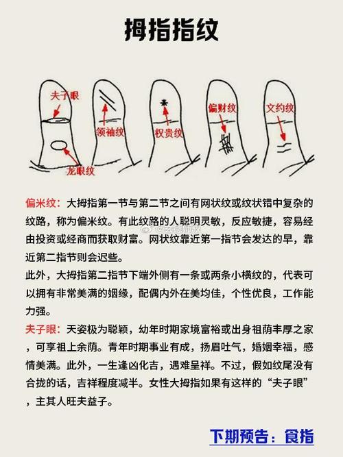 手相大拇指解析你的命運(yùn)