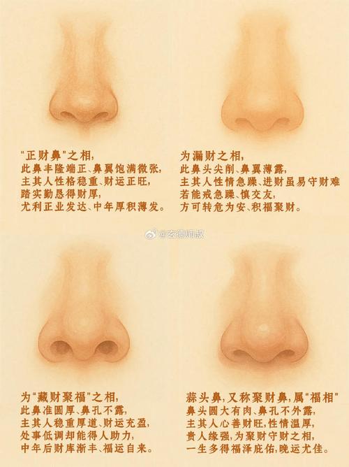 鼻子看財運
