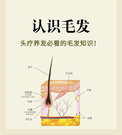 身體毛發解讀你的命運