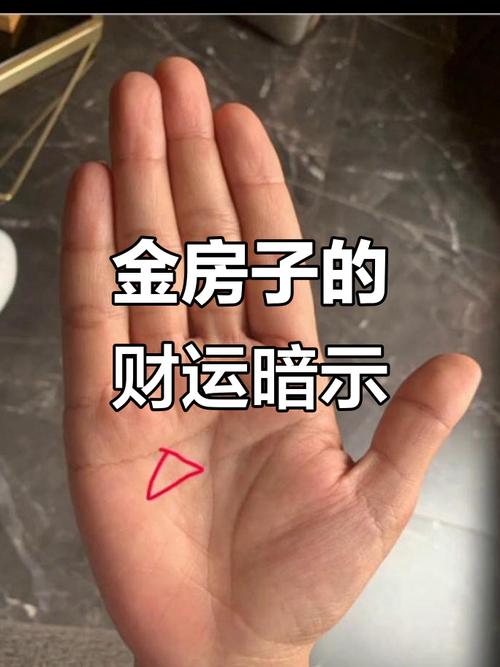 金房子手相