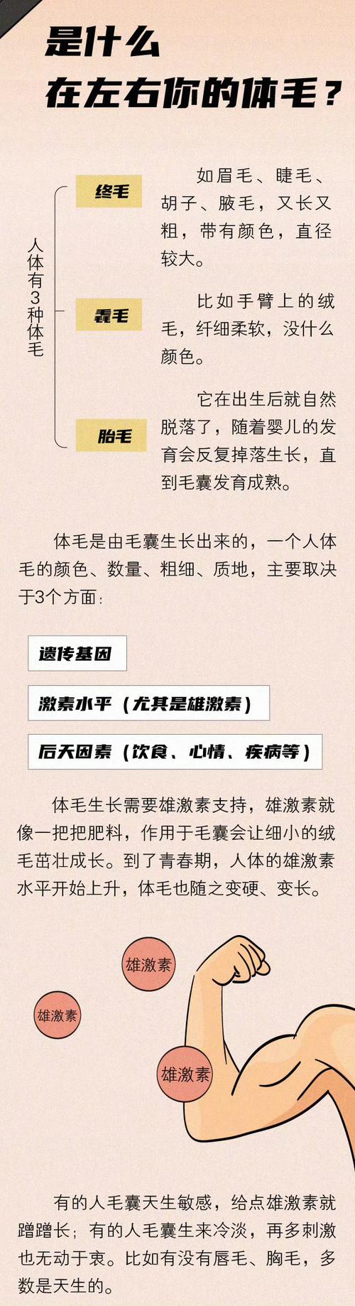 身體毛發密集對運勢的影響
