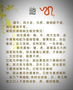 屬蛇人婚姻配對表 屬蛇正緣出現(xiàn)在哪年
